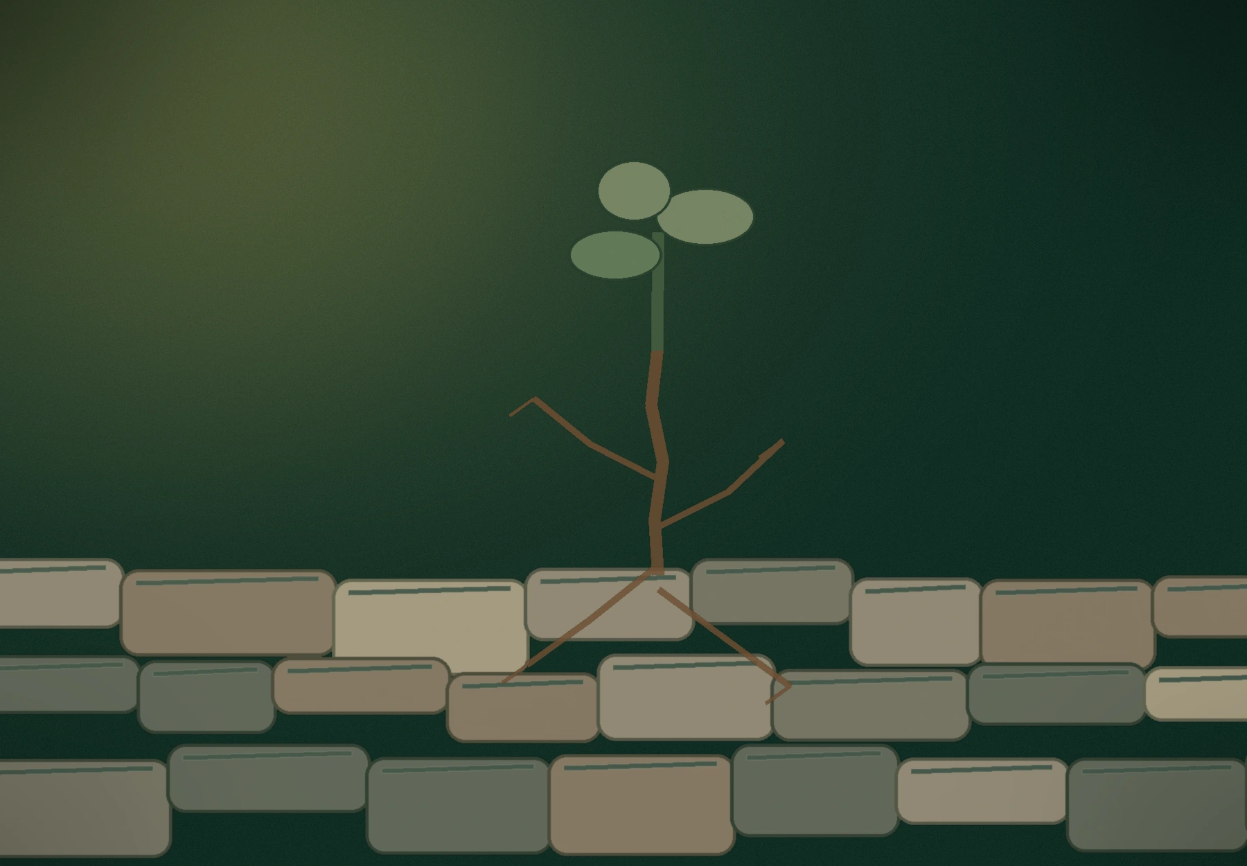 Warm light over stones, roots, and new growth